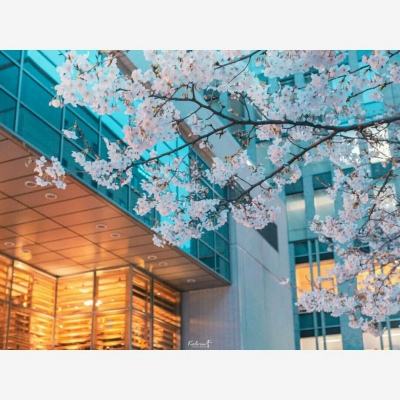 开元ky7818老版本手机app下载截图