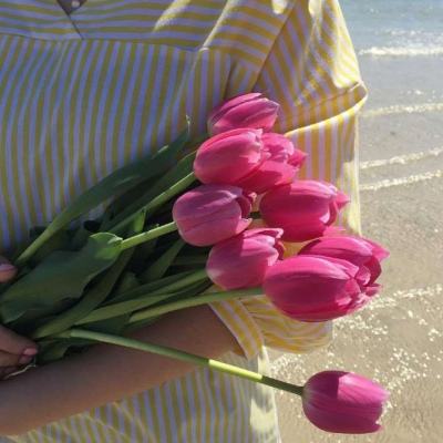 im电竞官方网站app下载