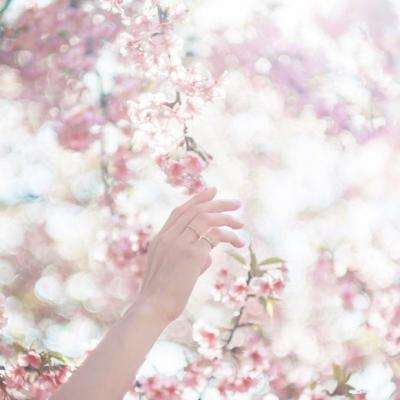 开元ky7818老版本手机app下载